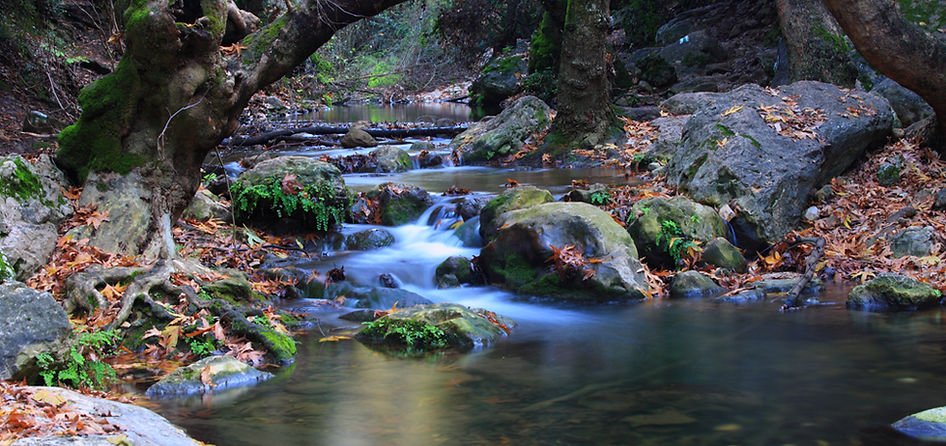 River in Autumn