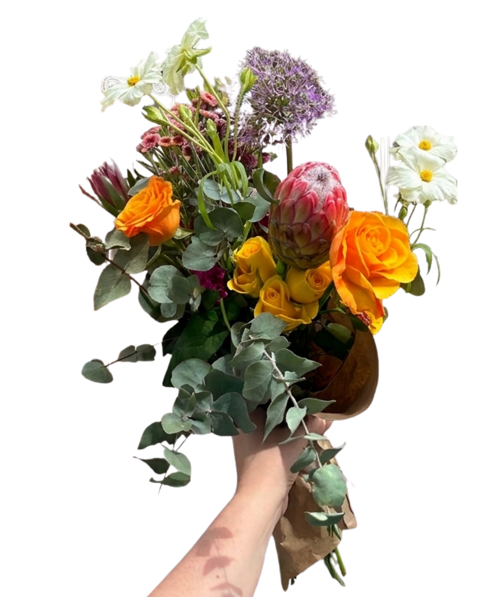 Untitled design (1).png