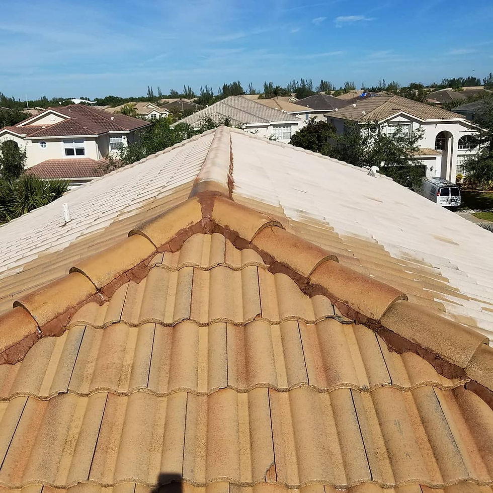 pressure washing | Caribbean Clean L