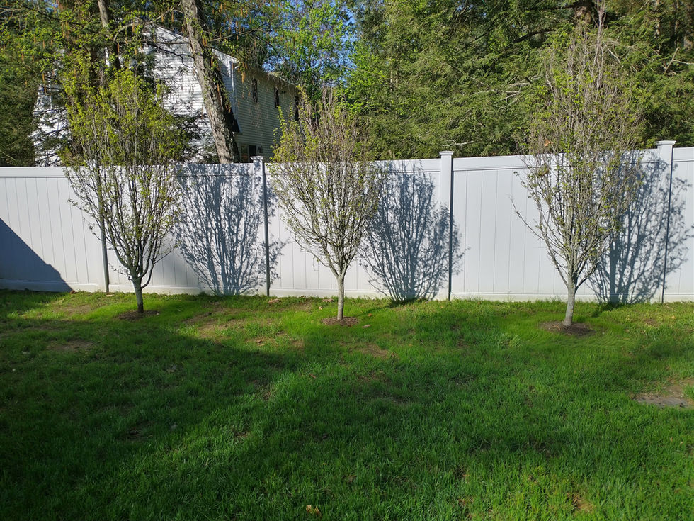 IMG_20230508_081945523_HDR