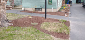 Plante Mulch Installation