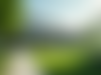 Transform Your Business with Commercial Landscaping