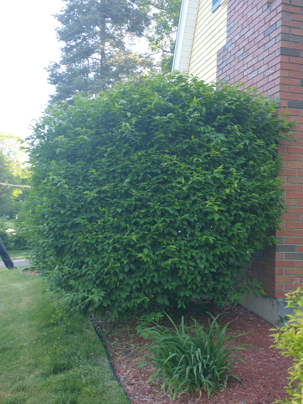 IMG_20230530_080737530