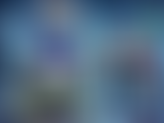 The "Price-to-Dream Ratio" Era of AI Investment: Revelations from the Global Frenzy to China's Twin Stars