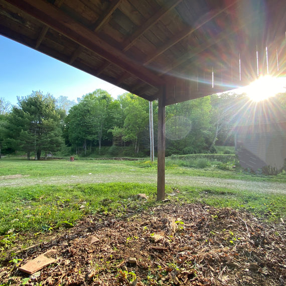 Last rays in picnic area