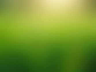 The Role of Lawn Fertilization Companies: Fertilization Service Benefits You Can Count On