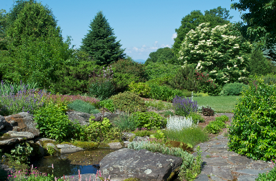 Making the Best Plant Choices