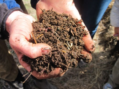 Getting to the Roots of Soil Health