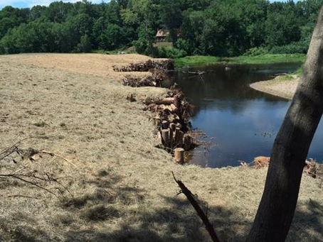 NRCS Practices: Log Cribs for Streambank Erosion