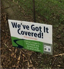 We've Got it Covered!