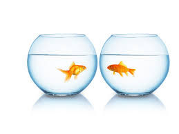 Virtual Connection During Social Distancing