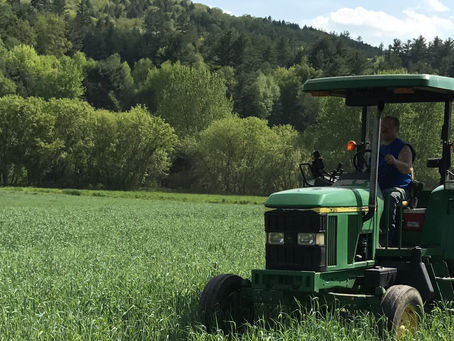 No-Till Corn Planting