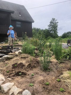 Meet Laura and Cary: Pollinator Newbies Turned Enthusiasts!