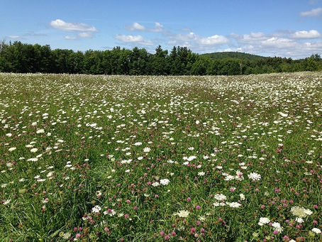 Proper Land Stewardship Can Make a Difference