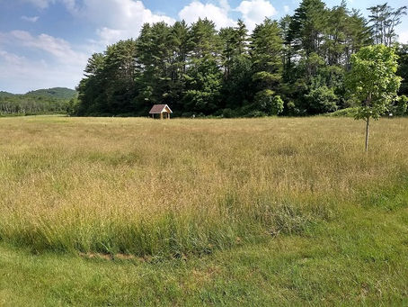 Private Landowners say YES to Pollinators!