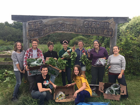 Community Partnerships in Action: The Westmoreland Garden Project