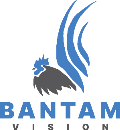 Bantam Vision Logo