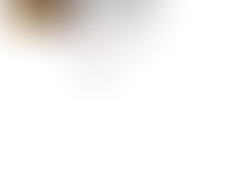 Mostra d'arte IN PRINCIPIO