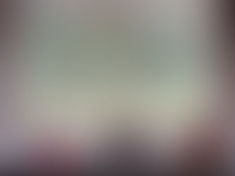 Il Castello e le mura di Novara, tra '500 e '600".