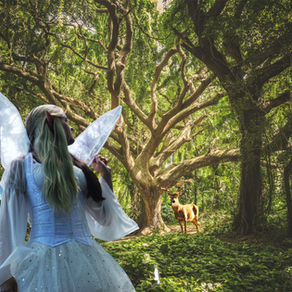 TPF- spring Fairy and Elf photos Session sign up.