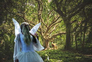 forest Fae 2022