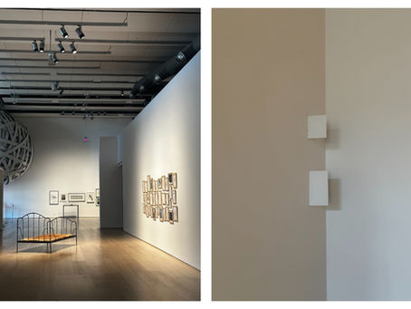 Curating the Code: How Esker Foundation Decoded Jana Sterbak 