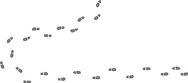 steps.png