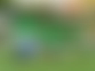 Kreismeister der Freizeitliga 25/26