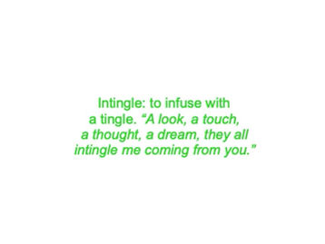 Intingle