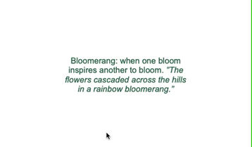 Bloomerang