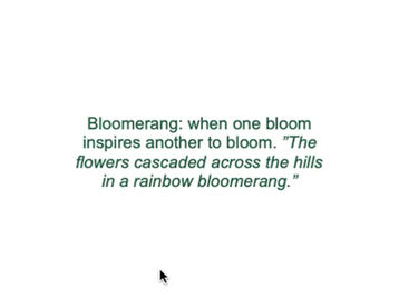 Bloomerang