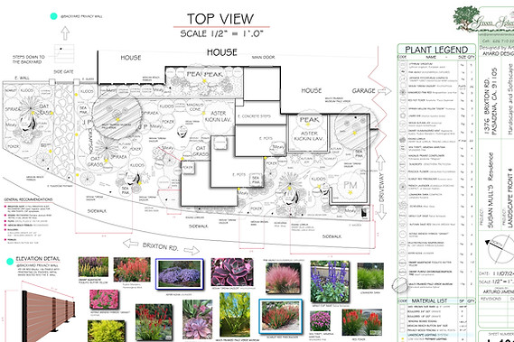 Top View Large Blue Print Landscape Design to Scale