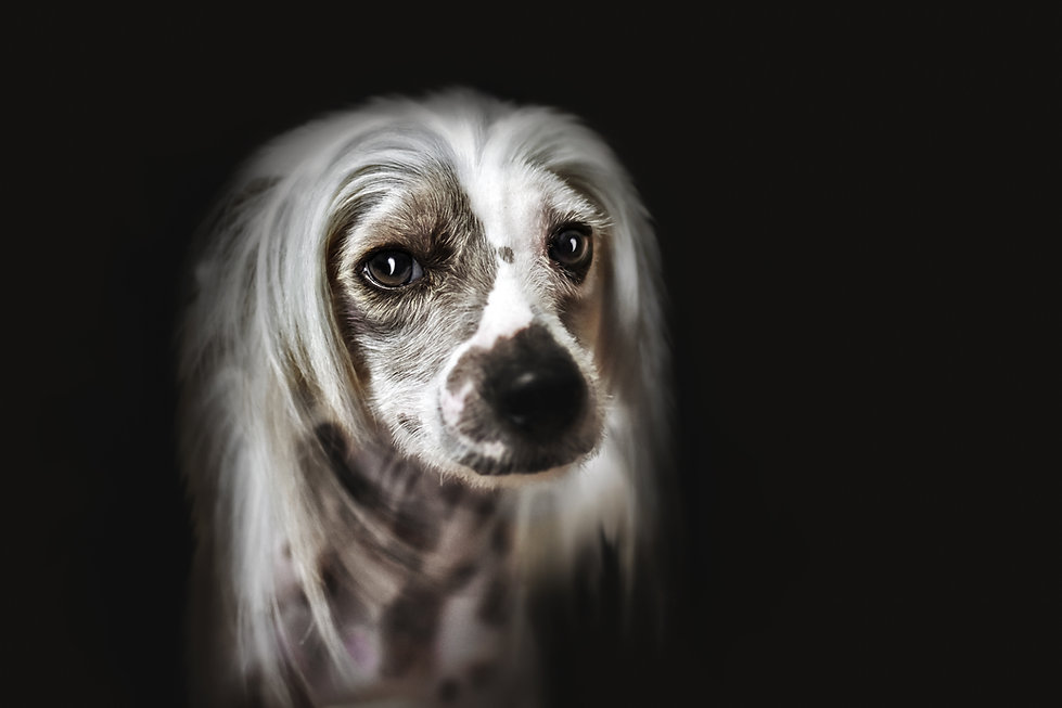 AdobeStock_190050672.jpeg