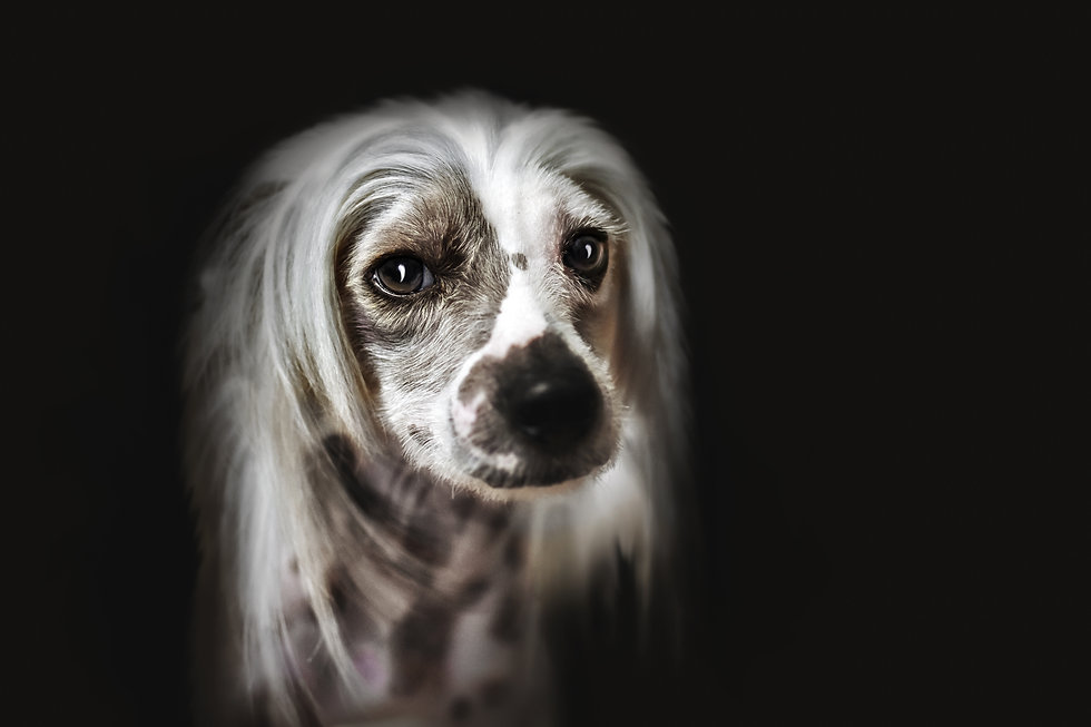AdobeStock_190050672.jpeg