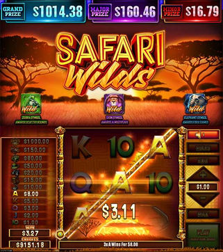SAFARI-WILDS.jpg