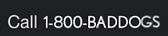 Screen Shot 2023-01-27 at 12.21.18 PM.png
