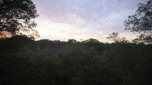C0106T01.JPG