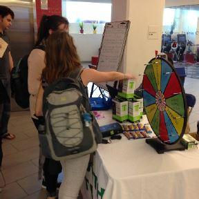 Environment Wheel of Fortune
