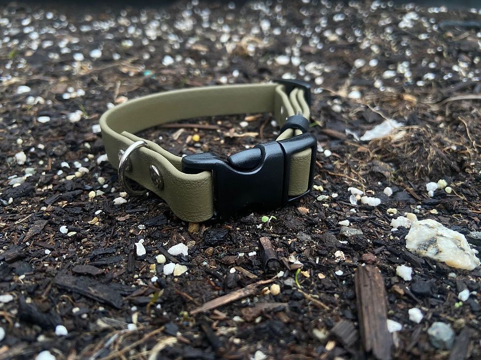 Thumbnail: Quick Release Biothane Collar