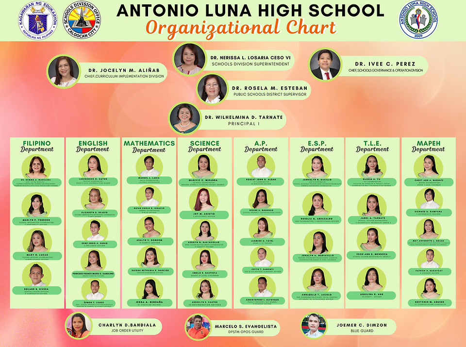 ALHS Organizational Chart.png