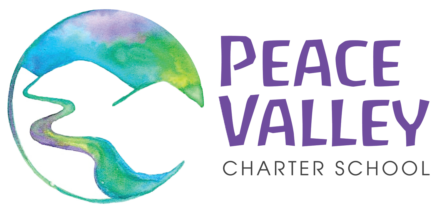 Peace Valley Public Charter Waldorf School - image 1