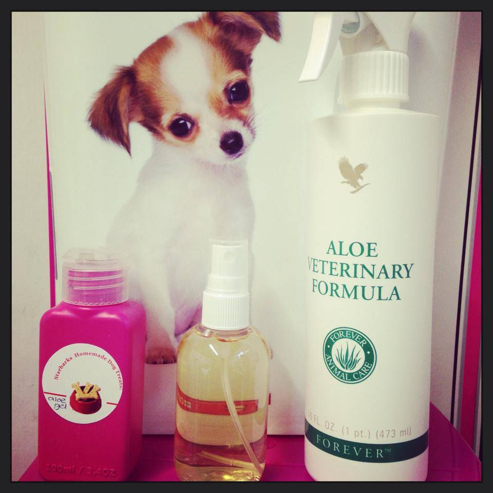 Aloe vera products £4 each