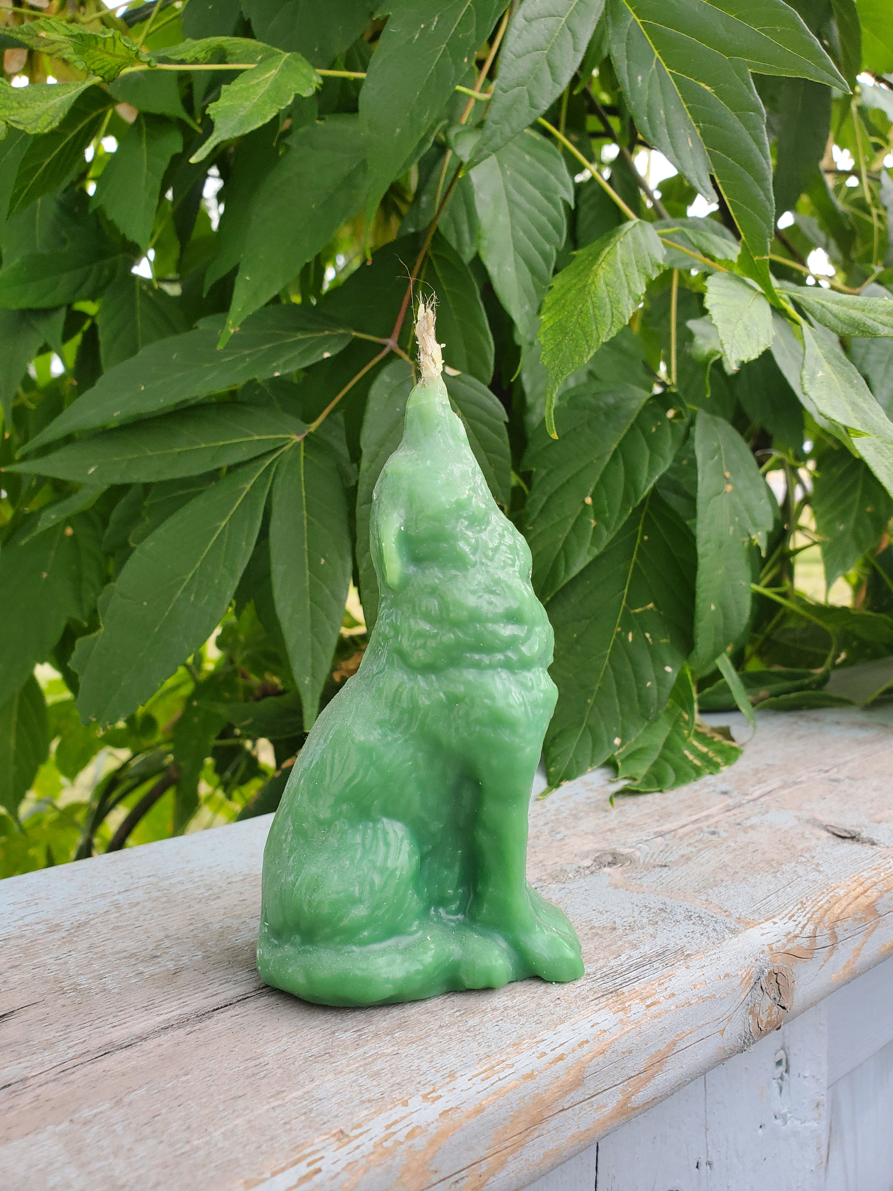 Wolf candle