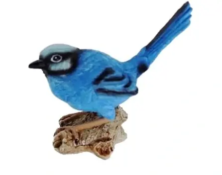 Blue Wren