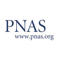 Neural correlates of the psychedelic state as determined by fMRI studies with psilocybin