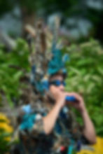 Waterfowl_DB Lampman