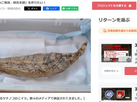 つちのこ発見・研究本部をムー公認に！