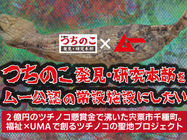 CAMPFIREクラウドファンディング事前告知開始！