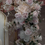 Thumbnail: Location chemin de fleurs Rosalie 1M