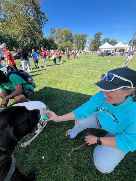 Carrie Maria, owner of The Monster Minders, gives a dog a pup cup treat at the PAWS Mutt Strut